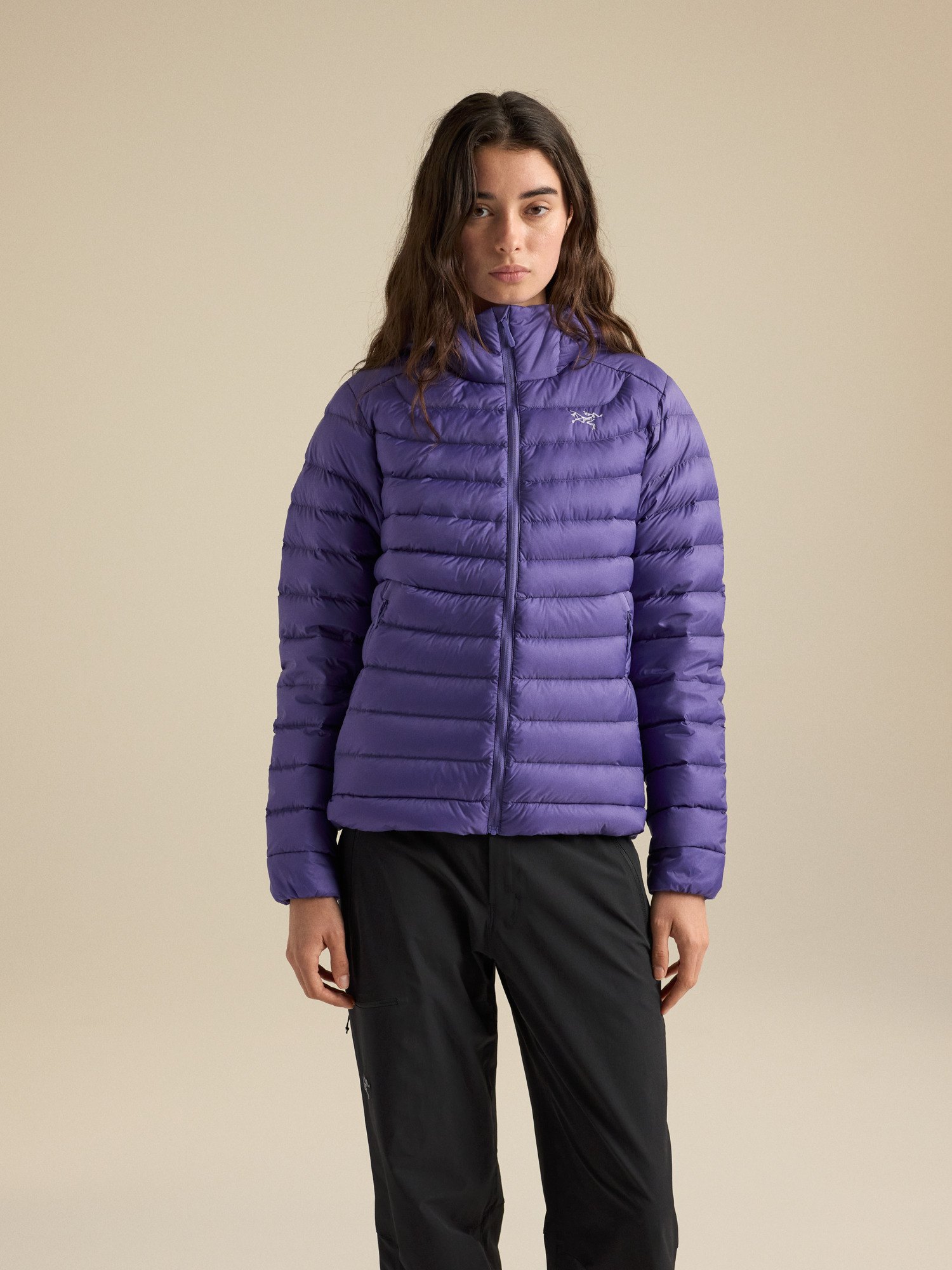 Arc'teryx Cerium Hoody (Women's)