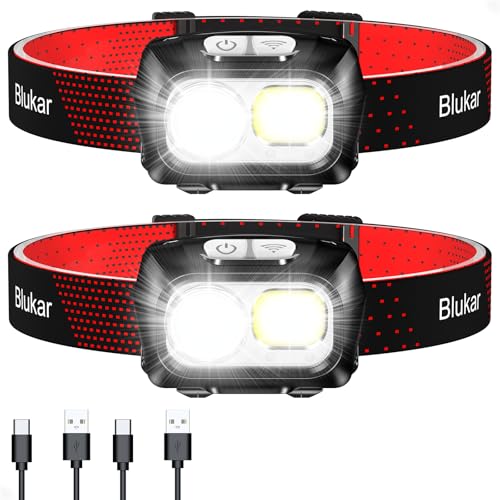 Blukar Head Torch (2 pack)