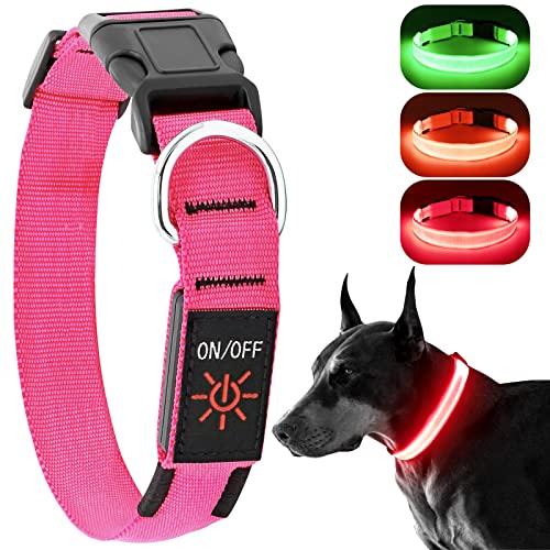 Rechargeable Light Up Dog Collar