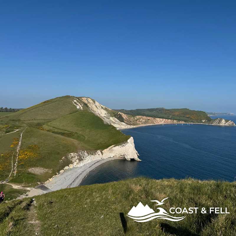 Worbarrow Bay and Worbarrow Tout viewed from the clifftop, Lulworth Ranges, Dorset