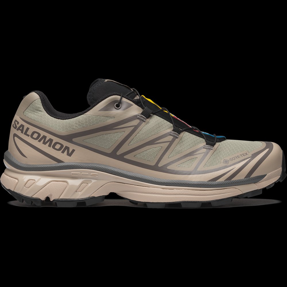 Salomon XT-6 GORE-TEX in White pepper