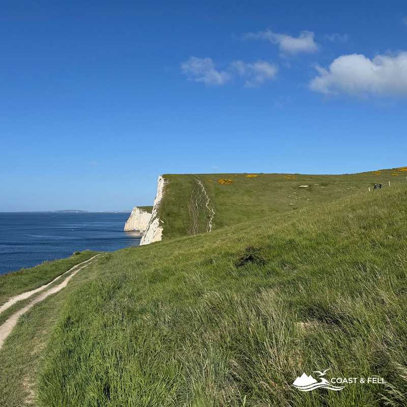 The steep coast path ascending the chalk cliffs toward Bat's Head, Dorset
