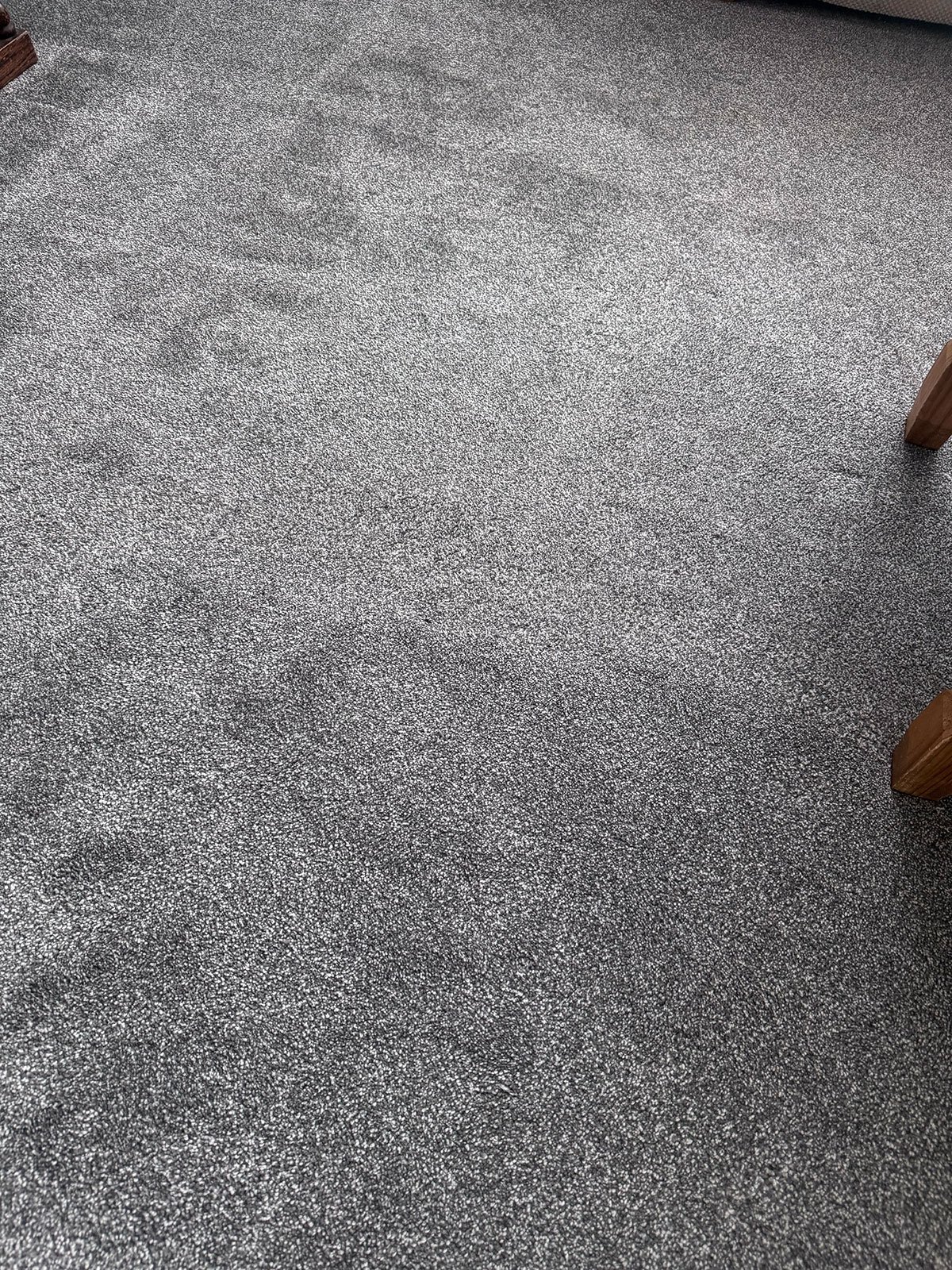 Lounge carpet after cleaning with the Vax SpinScrub Power Plus
