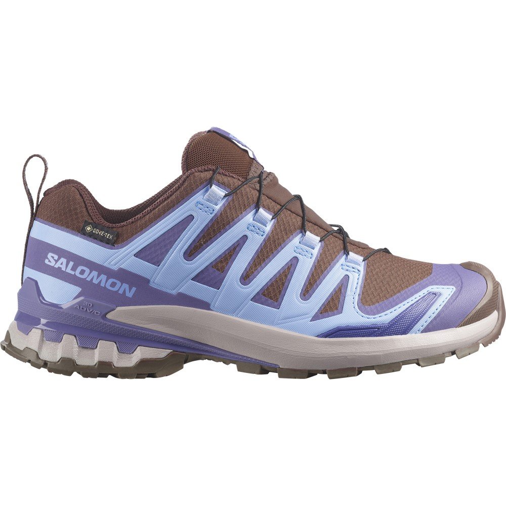 Salomon XA Pro 3D V9 GORE-TEX women's rugged waterproof trail shoe
