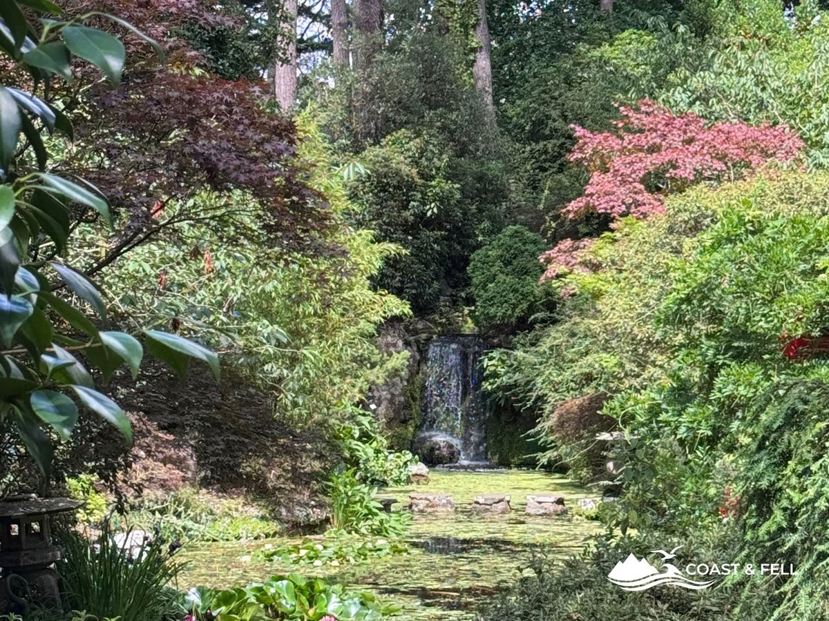 The gardens at Compton Acres in July