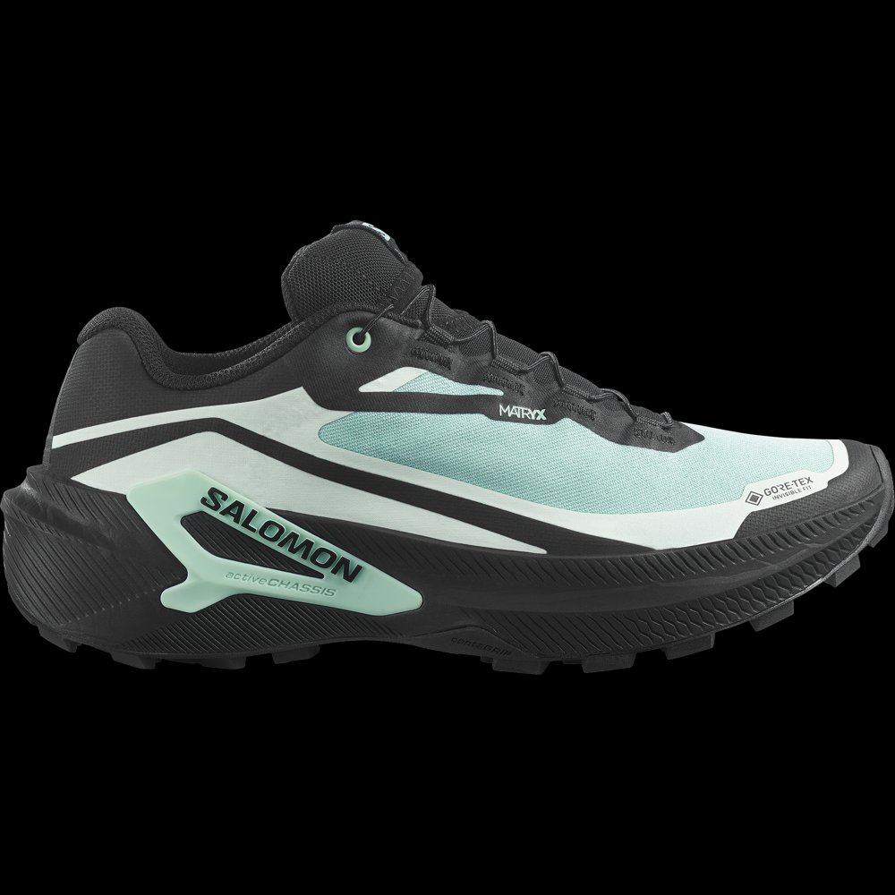Salomon Genesis 2 GORE-TEX (Women's) in Lichen
