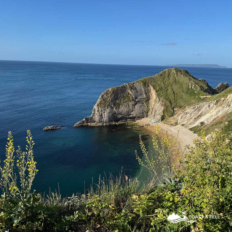 Man o' War Bay from the clifftop with wildflowers, Jurassic Coast Dorset