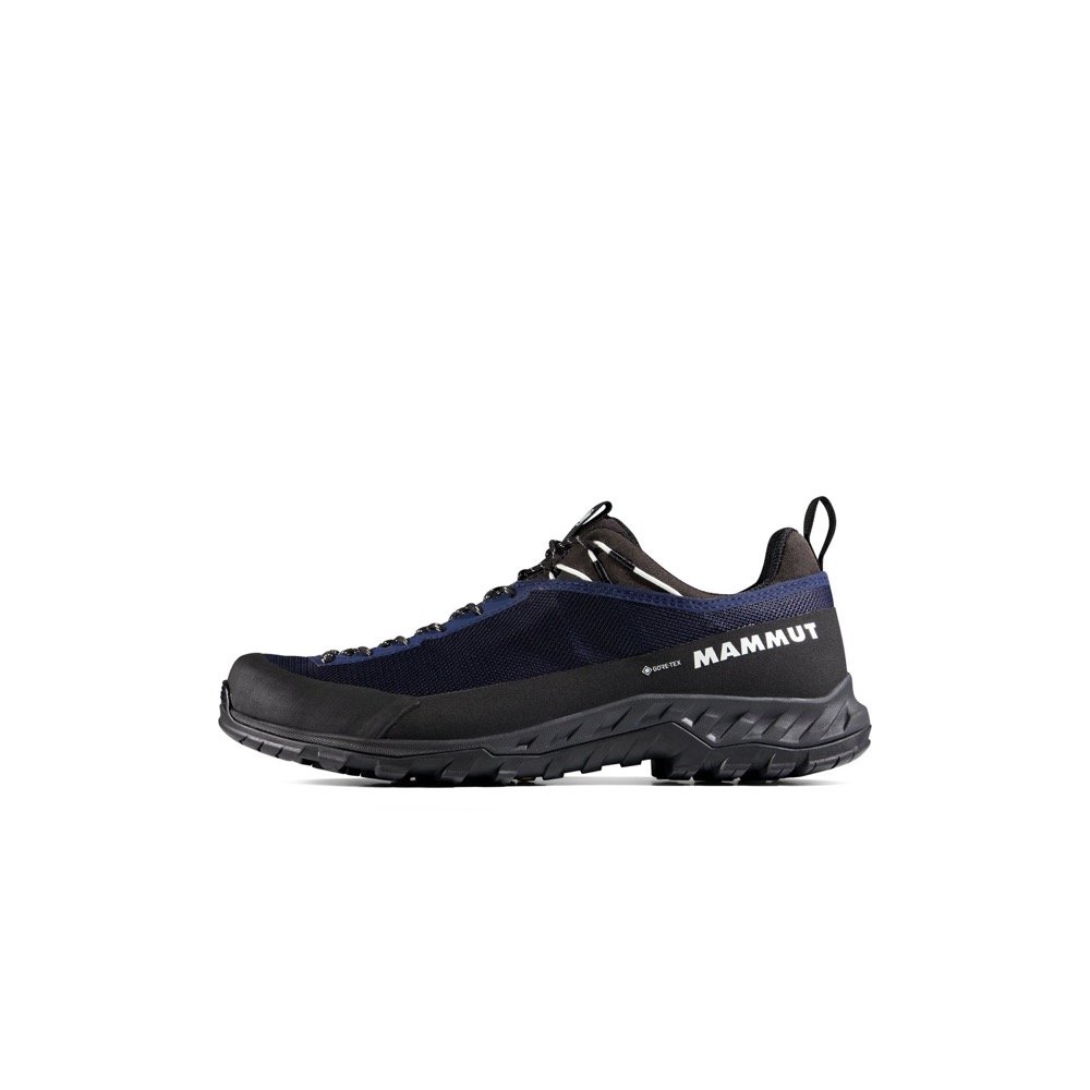 Mammut Alnasca IV Low GTX in Marine / white