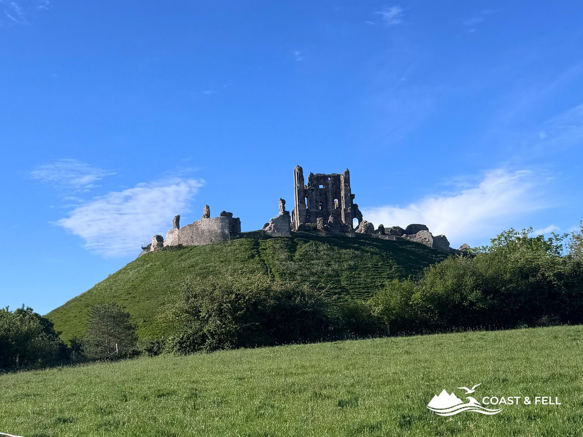 Corfe Castle ruins on hilltop in morning sunshine from the fields below with event route tape in foreground