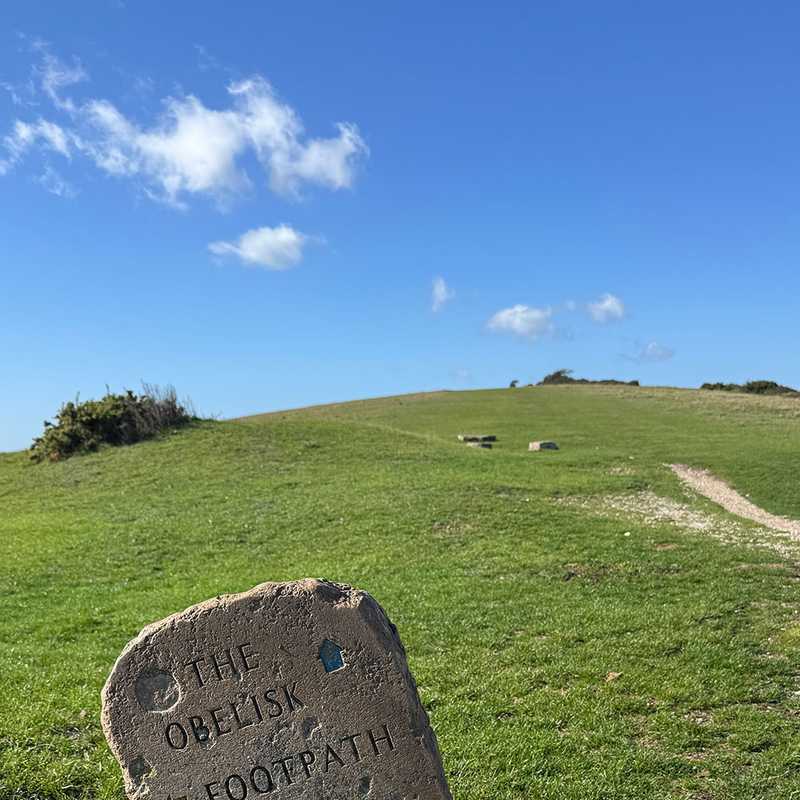 Stone waymarker reading The Obelisk Footpath on the grass of Ballard Down