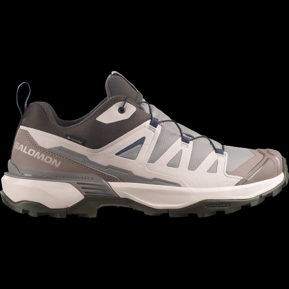 Salomon X Ultra 360 GORE-TEX in Cloudburst