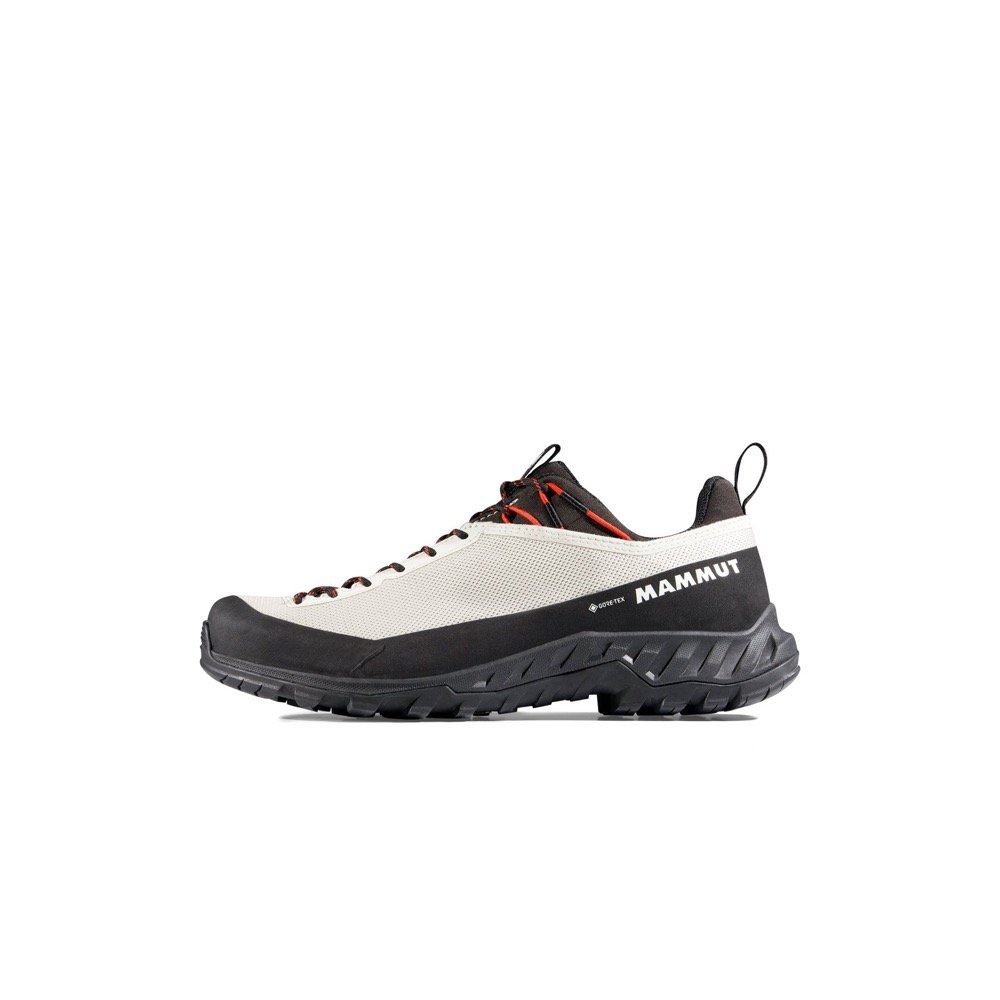 Mammut Alnasca IV Low GTX women's approach waterproof shoe