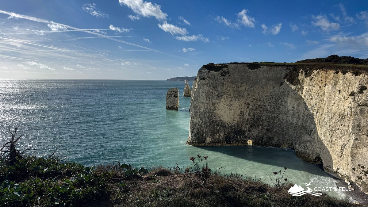 The Pinnacles chalk stacks and turquoise sea from the clifftop towards Ballard Down, the view most visitors miss