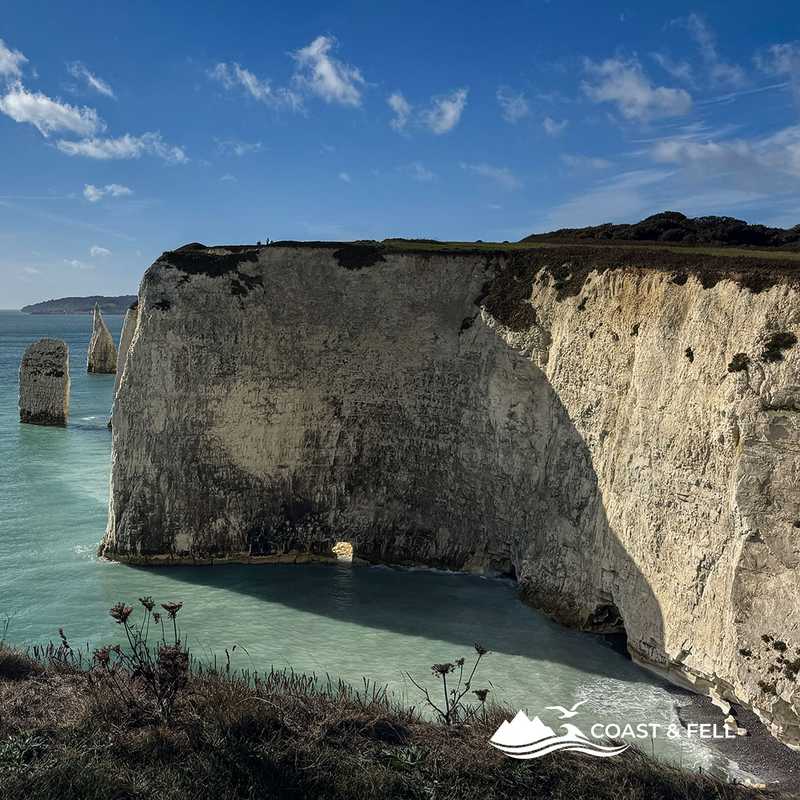 The Pinnacles chalk stacks and turquoise sea from the clifftop towards Ballard Down, Dorset