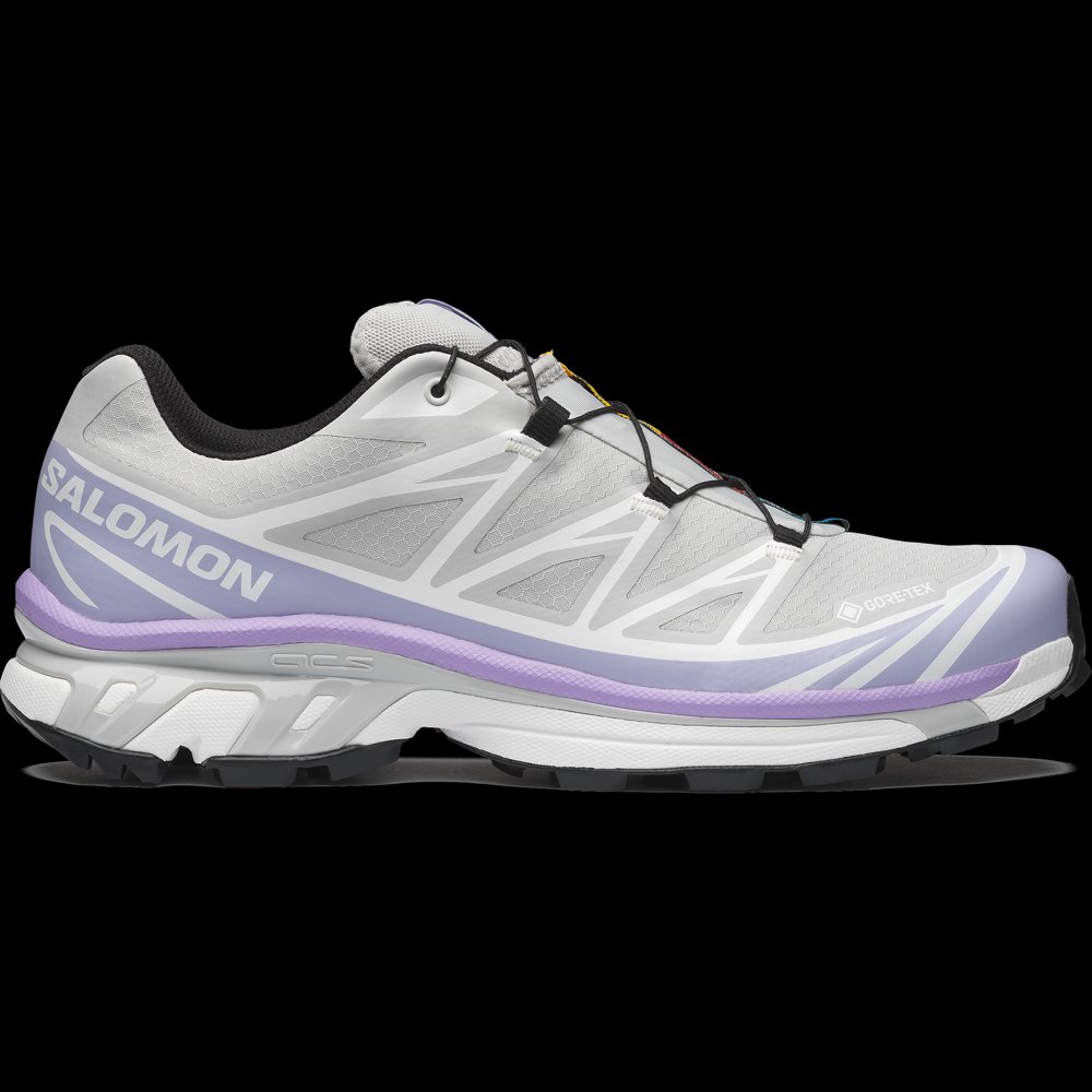 Salomon XT-6 GORE-TEX in gray Violet