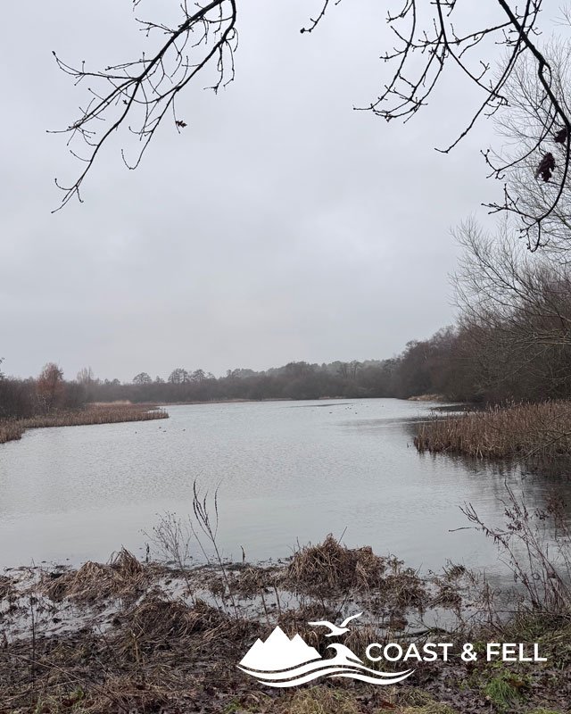 Moors Valley Country Park: the Dorset day out you can do a hundred times