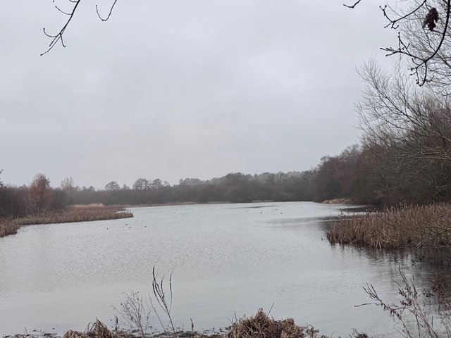 Moors Valley Country Park: the Dorset day out you can do a hundred times