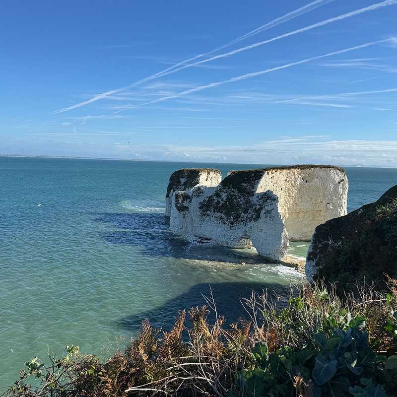 Old Harry Rocks chalk stacks from the Studland clifftop with turquoise sea