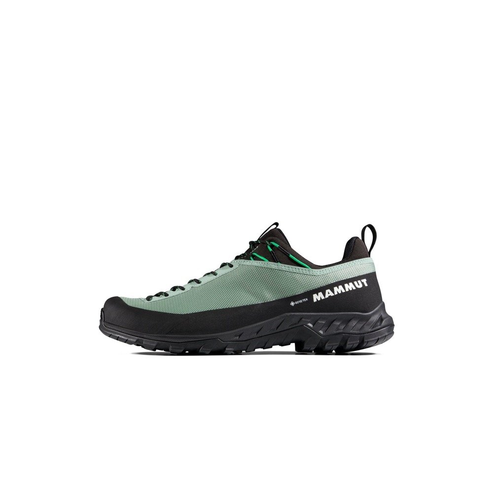 Mammut Alnasca IV Low GTX in Deep silver sage