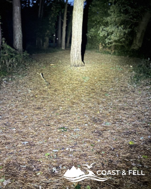 Meayll chest light beam lighting a dark forest path, showing roots and ground detail clearly