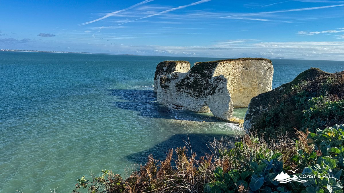 Old Harry Rocks chalk stacks and turquoise sea from the Studland clifftop, Dorset