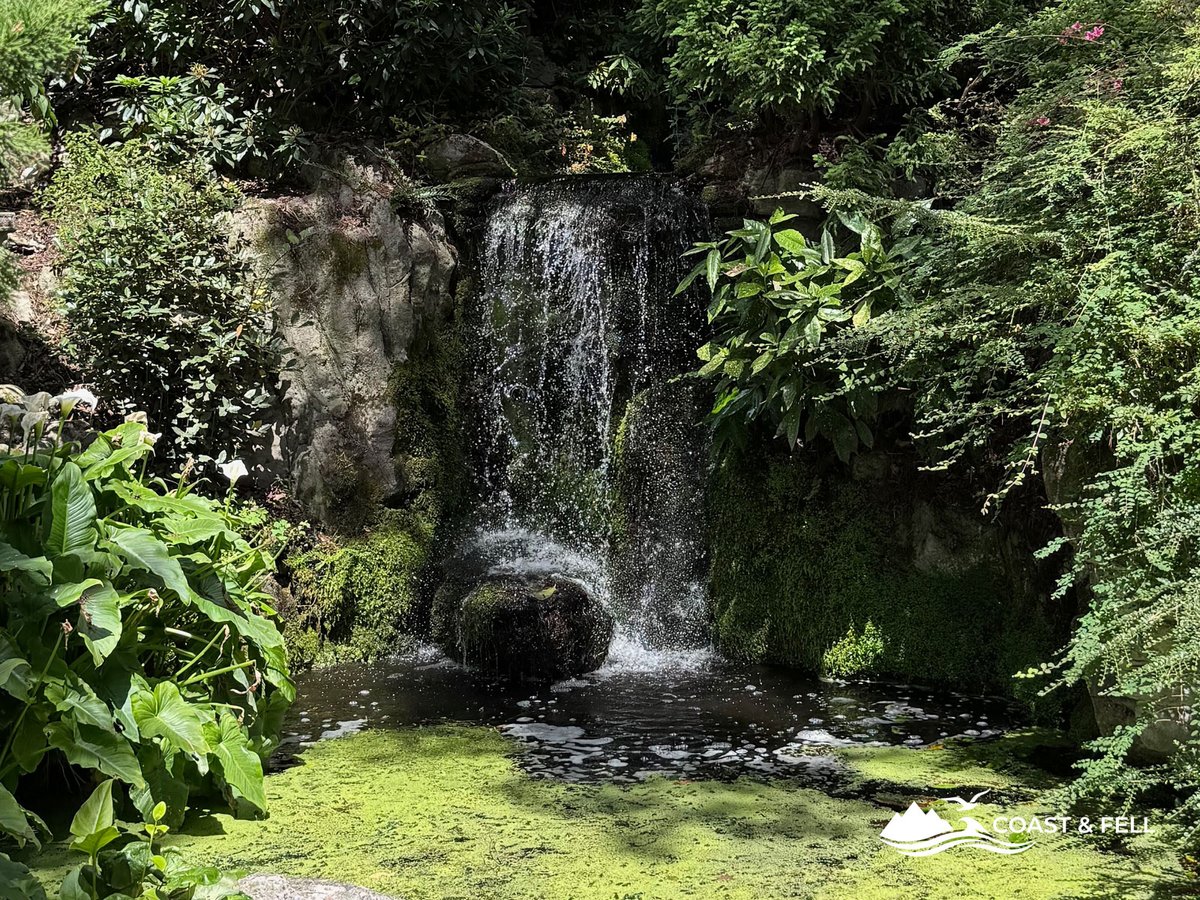 A waterfall in the Wooded Valley at Compton Acres