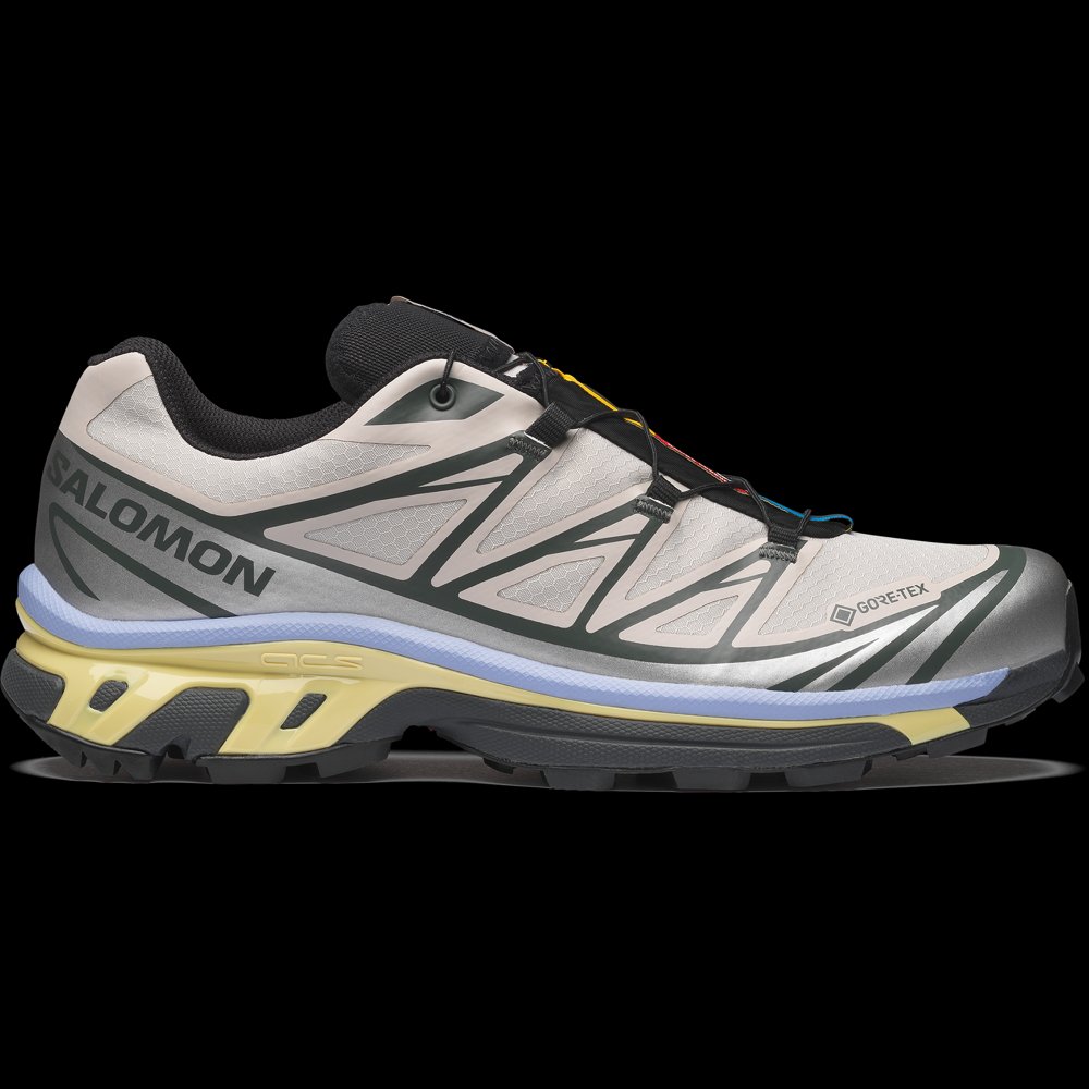 Salomon XT-6 GORE-TEX in Silver Cloud