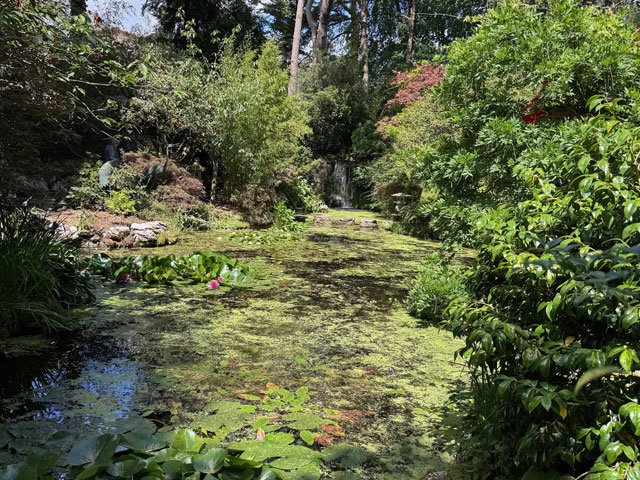 Compton Acres, Poole: an honest visitor guide