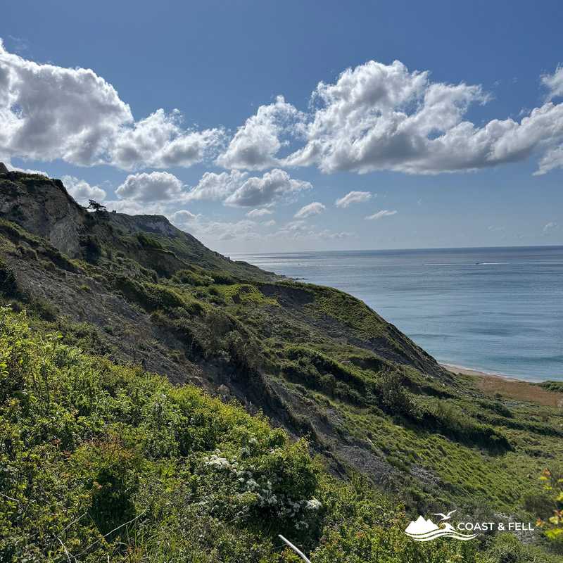 Landscape view from Swyre Head looking west toward the Bat's Head headland