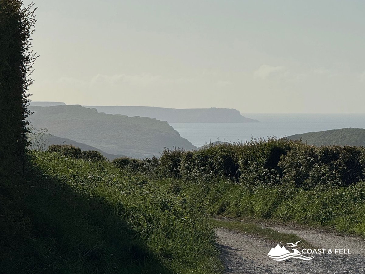 Dorset lane on the return, coastal cliffs visible in the misty distance