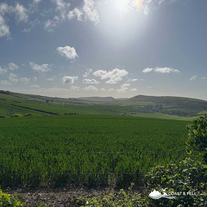 Purbeck Hills and green fields on the return from Durdle Door, Dorset