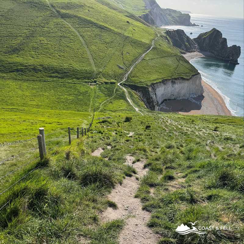 Hambury Tout with Durdle Door in the distance and gorse fields, Jurassic Coast