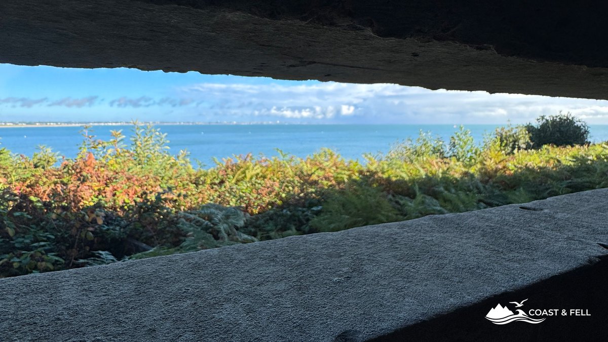 The view out through the narrow concrete observation slit of Fort Henry, across the bracken to Studland Bay