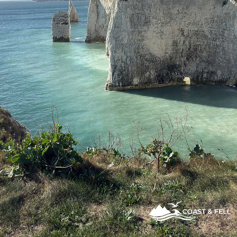 The Pinnacles chalk stacks and cliffs with milky turquoise water at their base