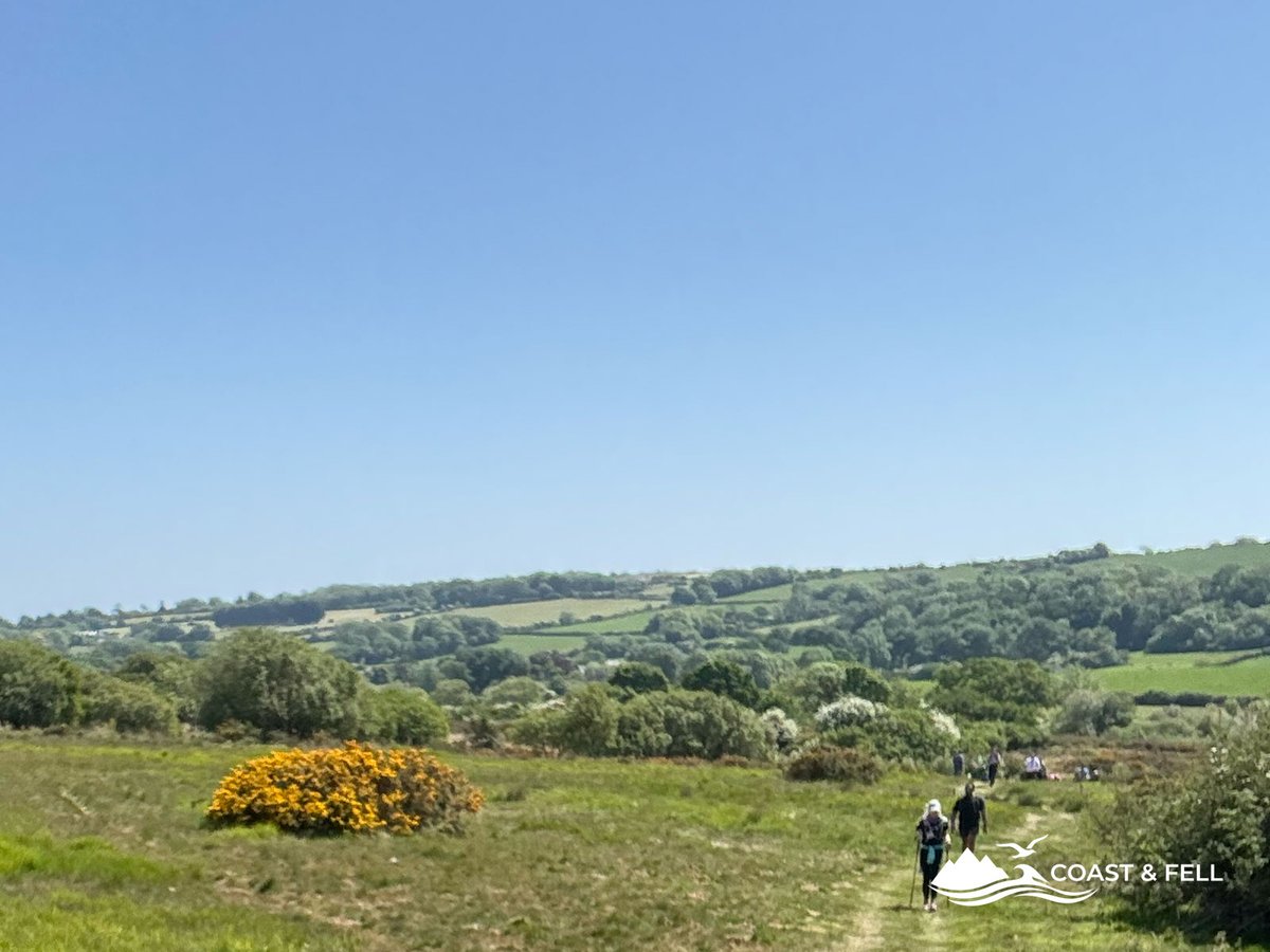 Shane selfie on open heathland track during Jurassic Coast Challenge with gorse and blue sky