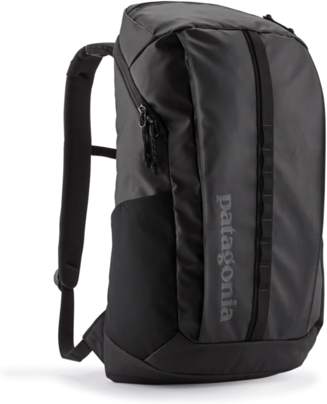 Patagonia Black Hole 25 daypack