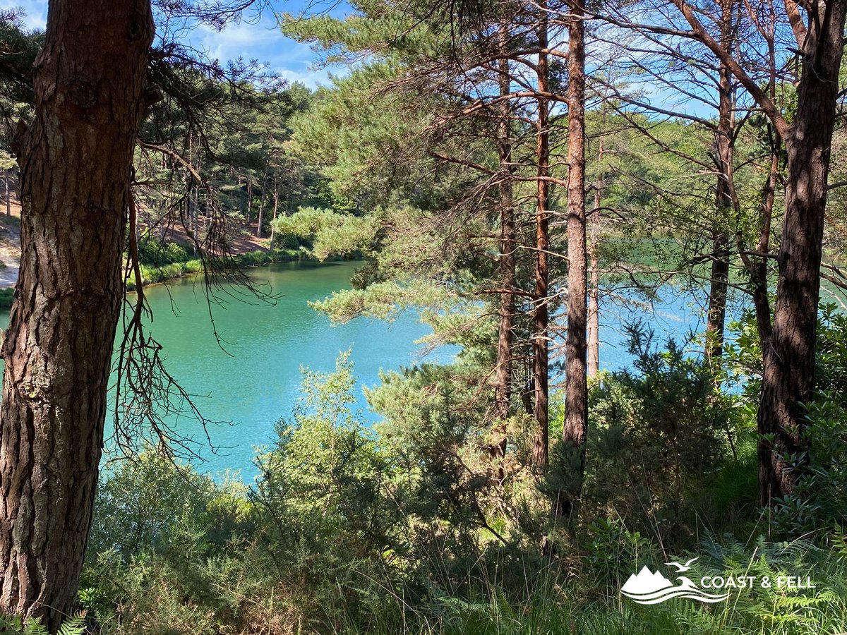 The rope bridge at the Blue Pool, reportedly the longest in the UK