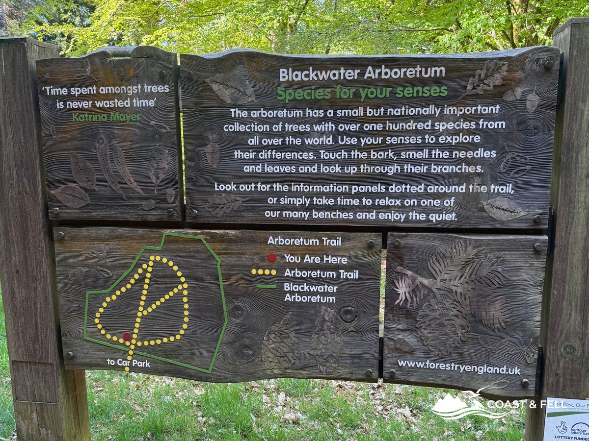 Blackwater Arboretum entrance sign showing trail map and species information, Forestry England